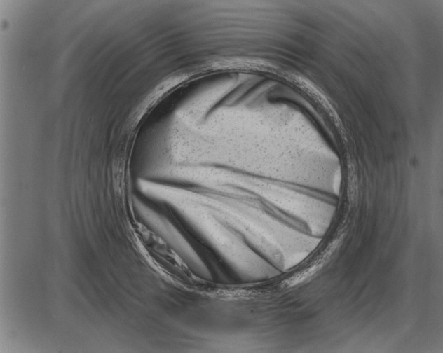X0000086101041200704091347