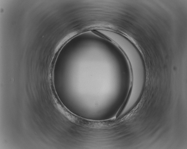 X0000086101042200704091347