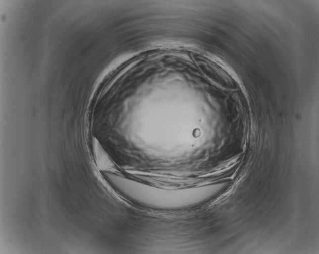 X0000086101045200704091347