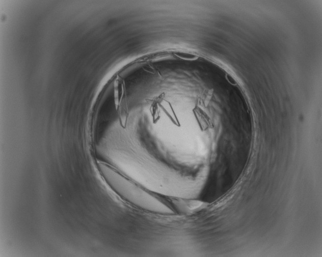 X0000086101056200704091347