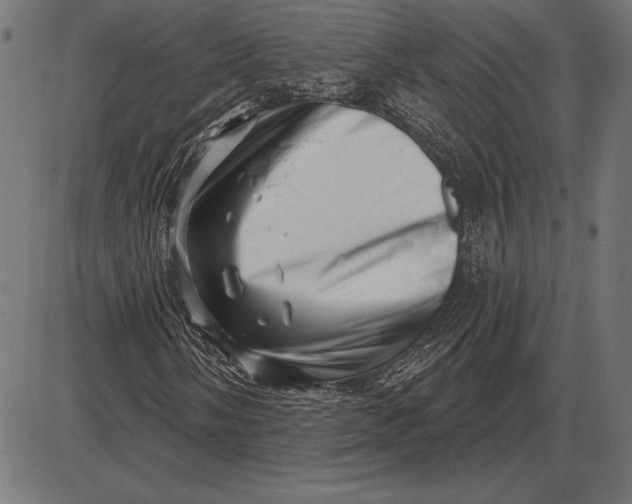 X0000086101058200704091346