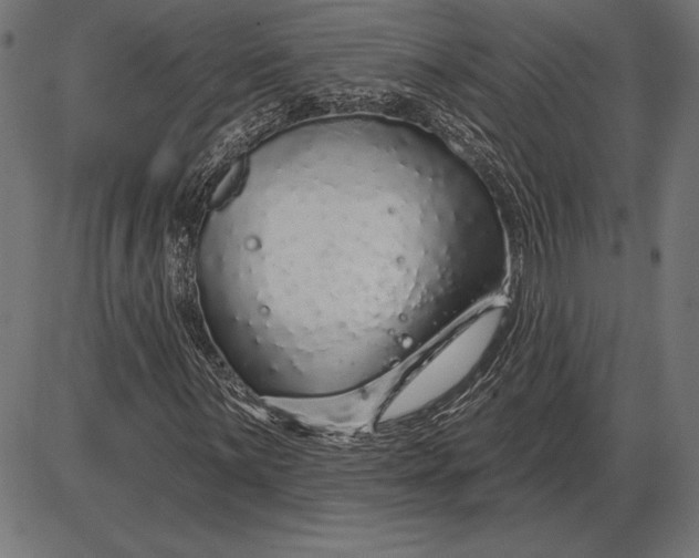 X0000086101059200704091346