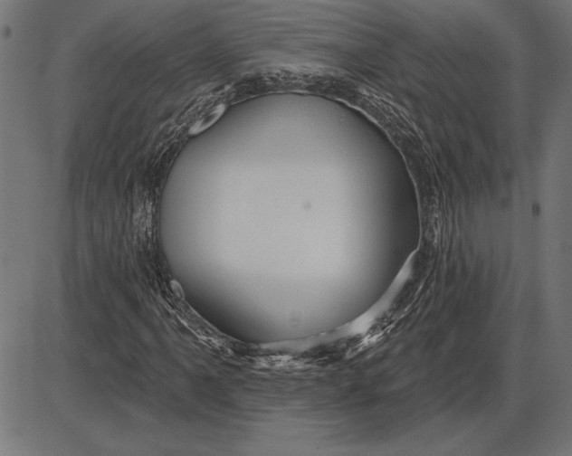 X0000086101061200704091346