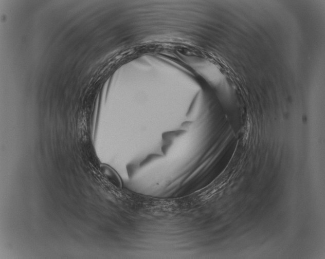 X0000086101062200704091346