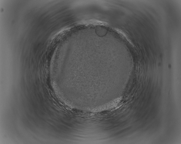 X0000086101063200704091346