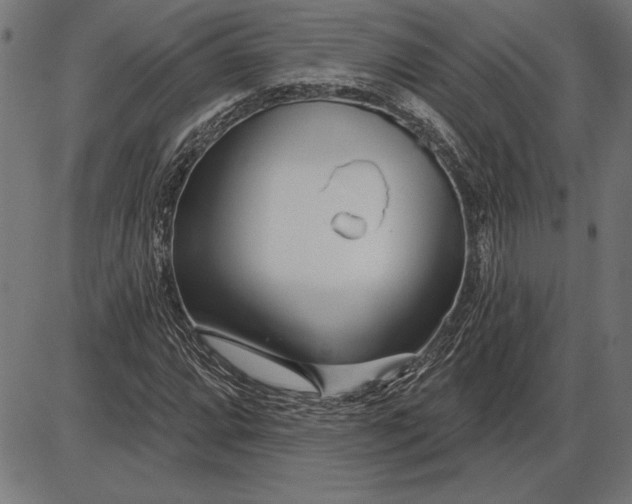 X0000086101064200704091346