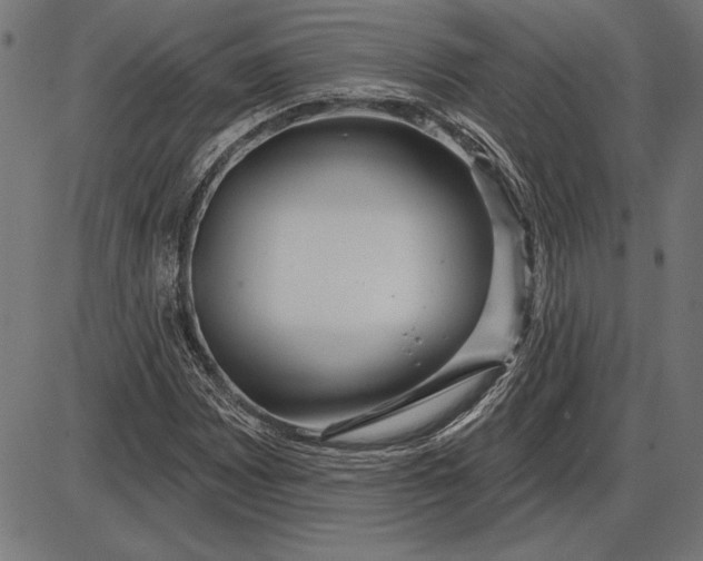 X0000086101065200704091346