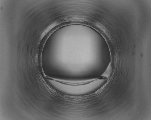 X0000086101066200704091346