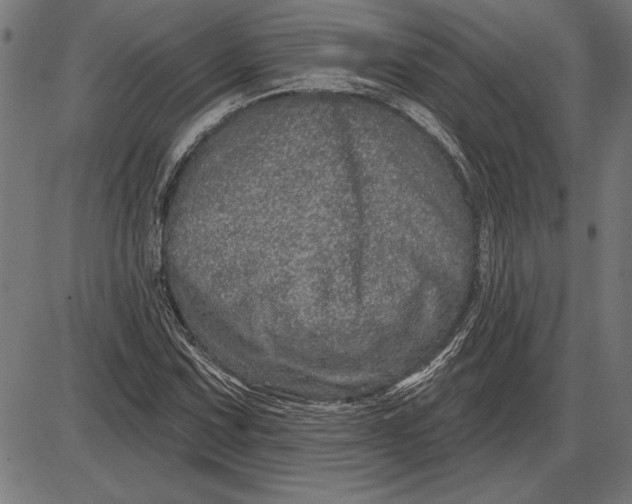 X0000086101067200704091346