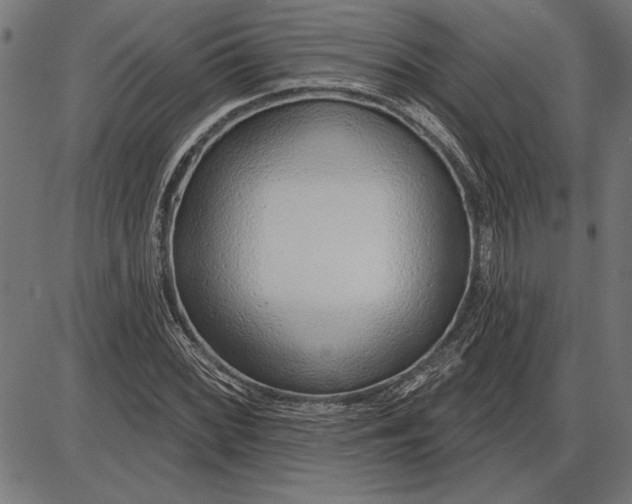 X0000086101068200704091346