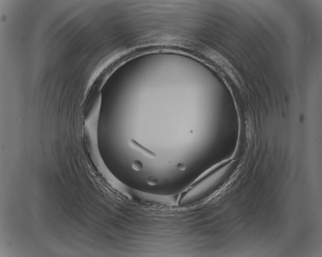 X0000086101069200704091346