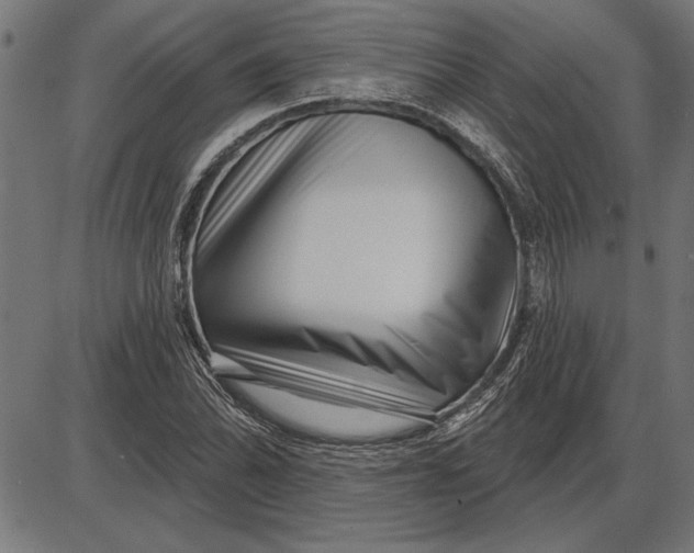 X0000086101070200704091346