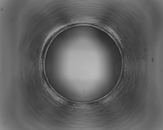 X0000086101072200704091346