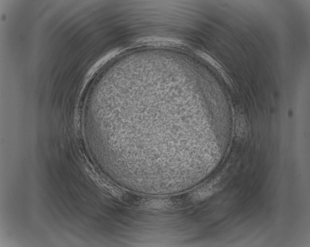 X0000086101074200704091346
