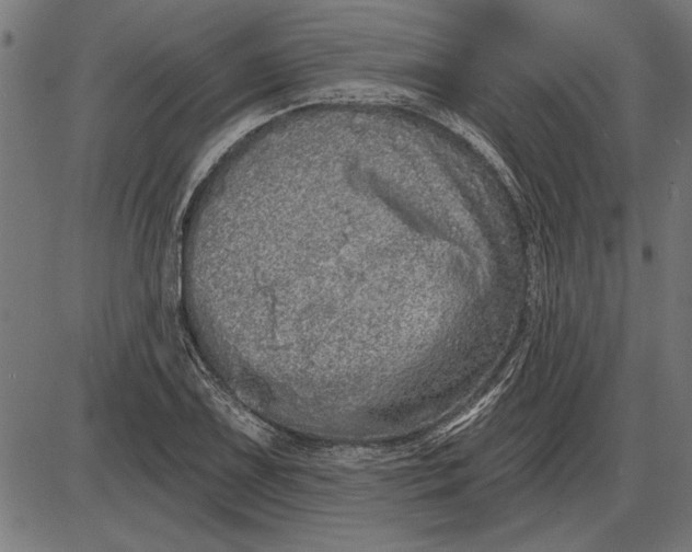 X0000086101075200704091346