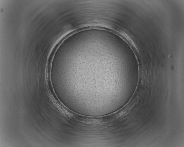 X0000086101076200704091346