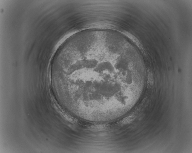 X0000086101078200704091346
