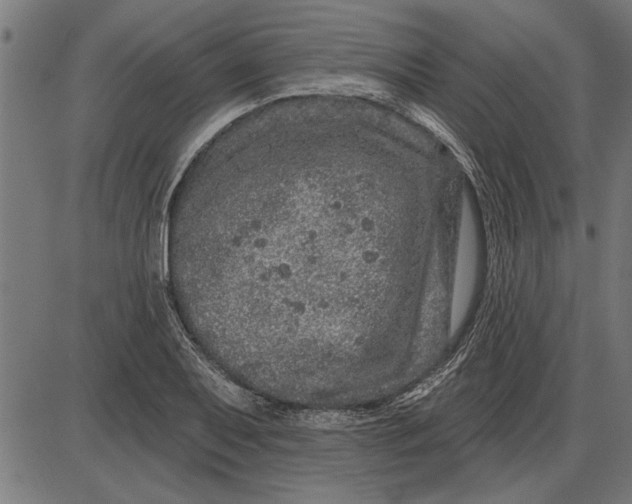 X0000086101079200704091346