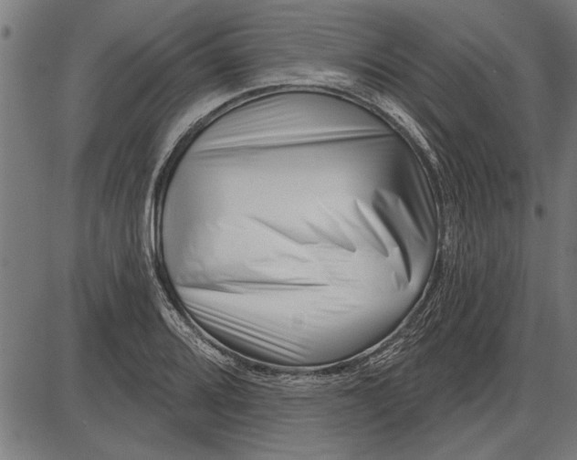 X0000086101080200704091346