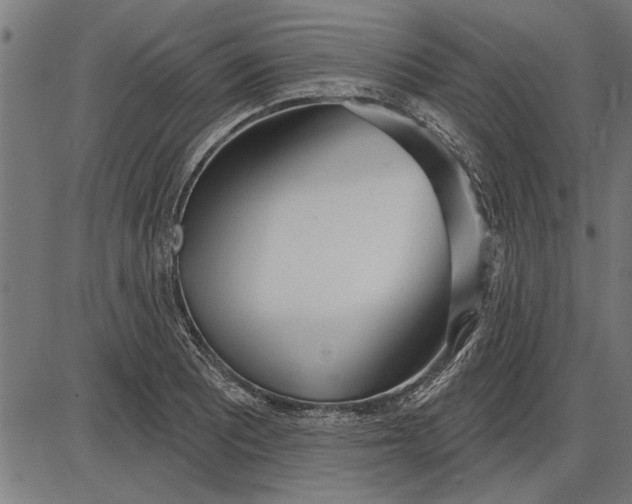 X0000086101081200704091346
