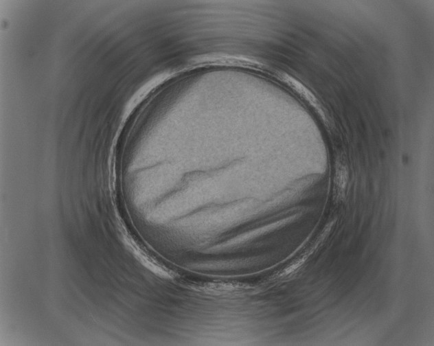 X0000086101082200704091346