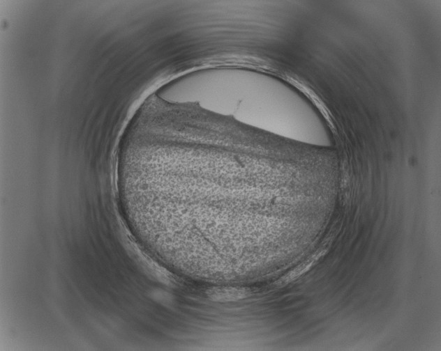 X0000086101083200704091346