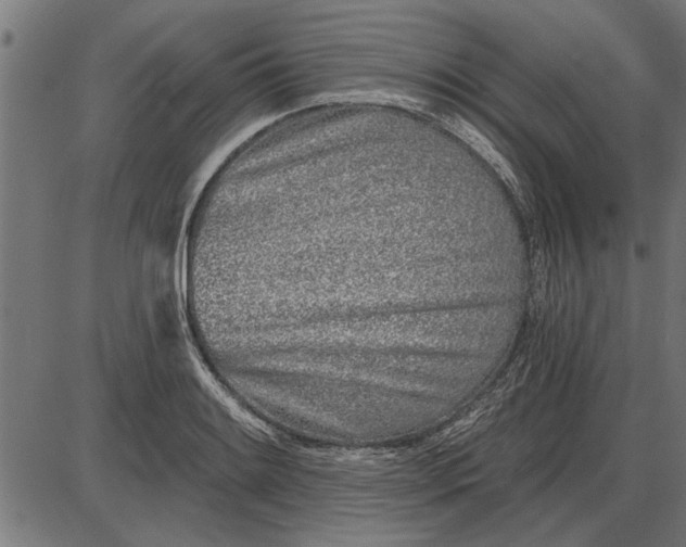 X0000086101084200704091346