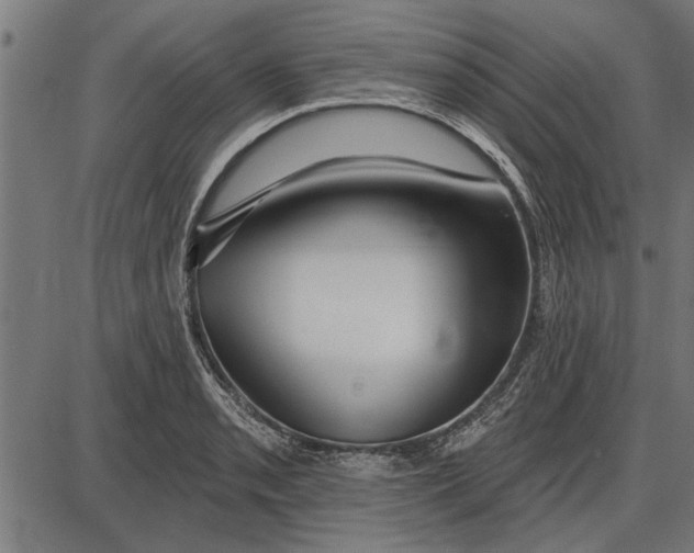 X0000086101085200704091346