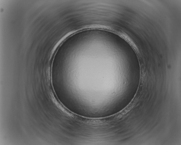 X0000086101092200704091346