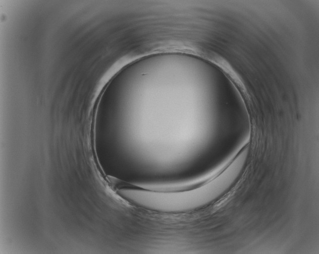 X0000086101102200704091346