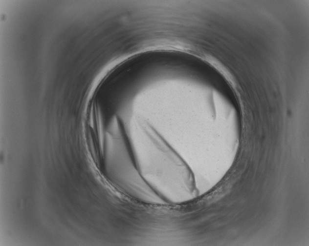 X0000086101104200704091346