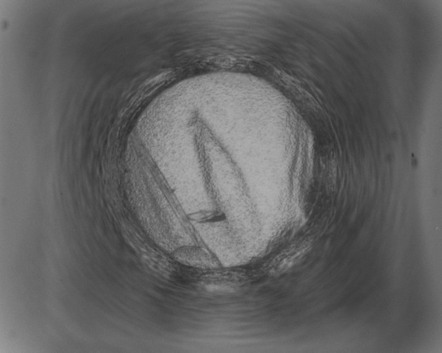 X0000086101105200704091345