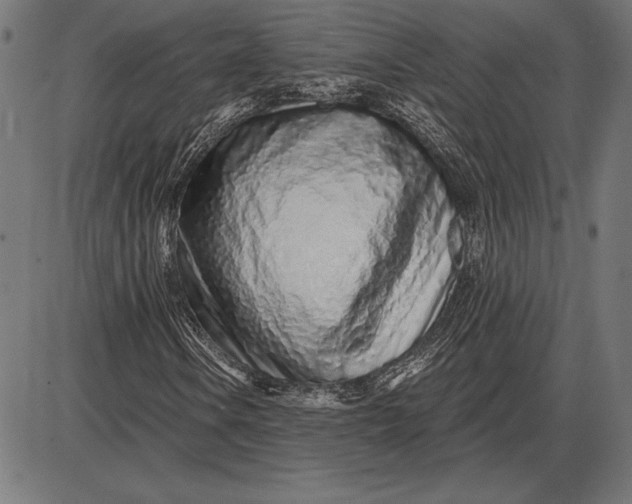 X0000086101106200704091345