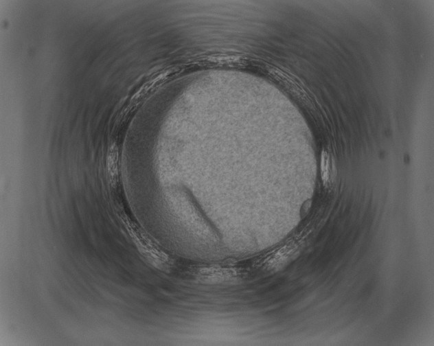 X0000086101107200704091345