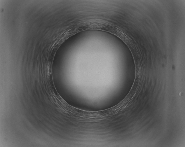 X0000086101108200704091345