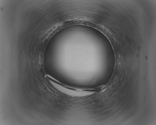 X0000086101110200704091345