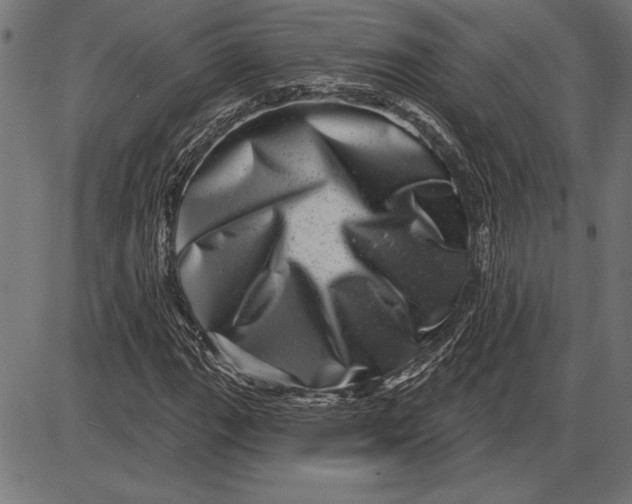 X0000086101111200704091345