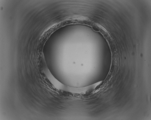 X0000086101112200704091345