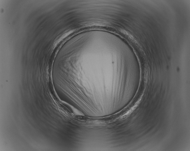 X0000086101113200704091345