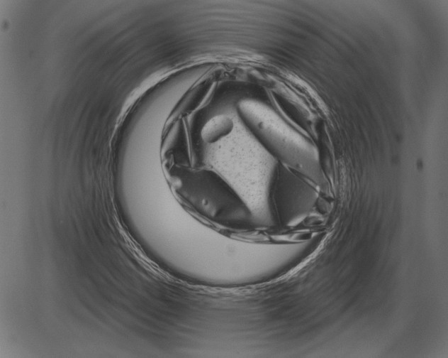 X0000086101114200704091345