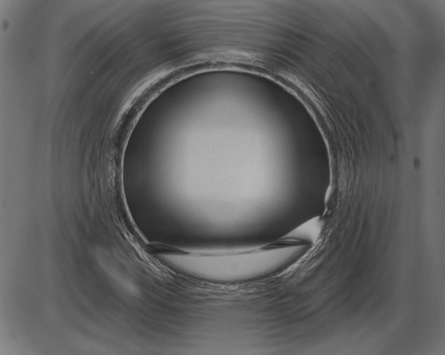 X0000086101115200704091345