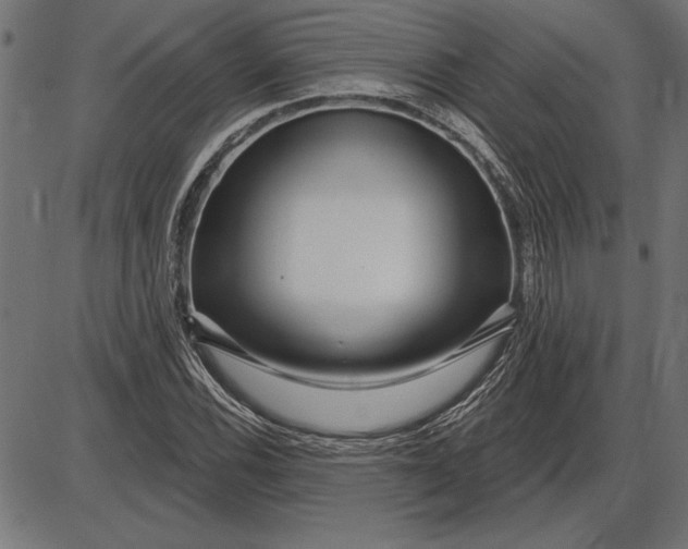 X0000086101116200704091345