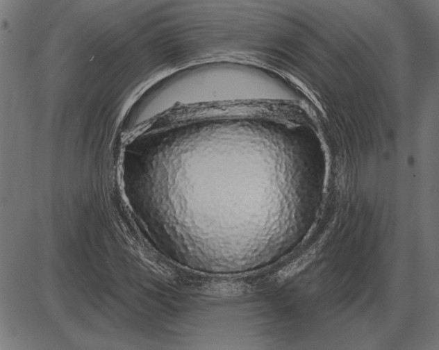 X0000086101117200704091345