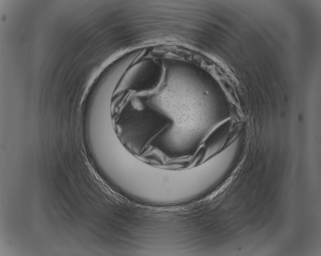 X0000086101118200704091345