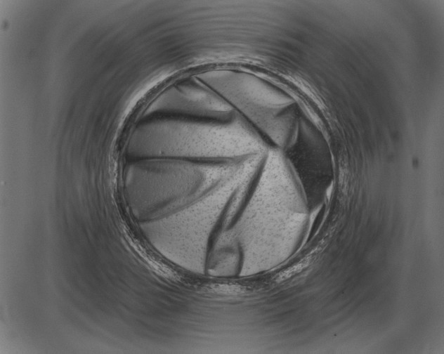 X0000086101119200704091345
