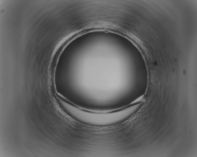 X0000086101120200704091345