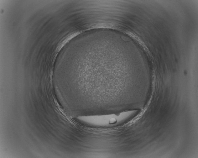 X0000086101121200704091345