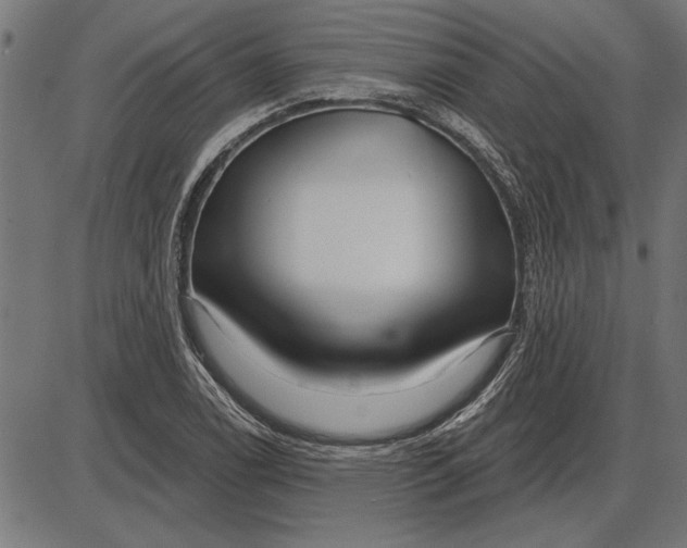 X0000086101122200704091345