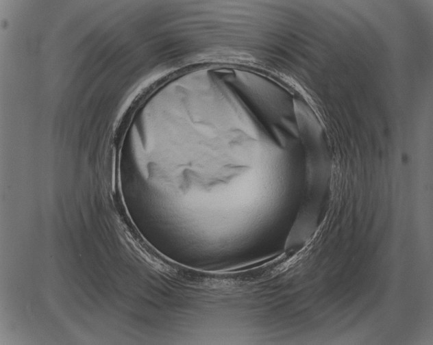 X0000086101123200704091345