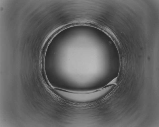 X0000086101124200704091345